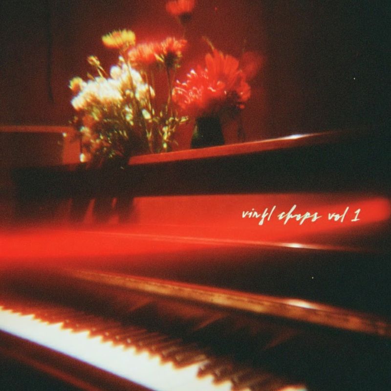 Vinyl Chops - Sample Pack